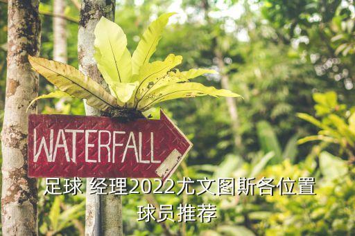 足球經(jīng)理 邊衛(wèi)小妖,2022足球經(jīng)理最強小妖