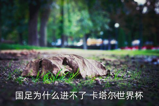 2017中國足球對卡塔爾,中國足球為什么沒參加卡塔爾比賽