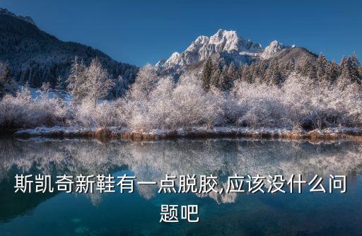 斯凱奇新鞋有一點(diǎn)脫膠,應(yīng)該沒什么問題吧