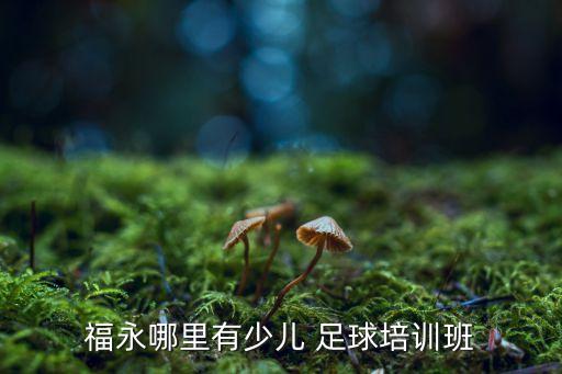 深圳足球班招生簡(jiǎn)章2015年
