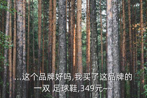 ...這個品牌好嗎,我買了這品牌的一雙 足球鞋,349元~~