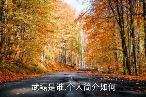  武磊是誰,個人簡介如何