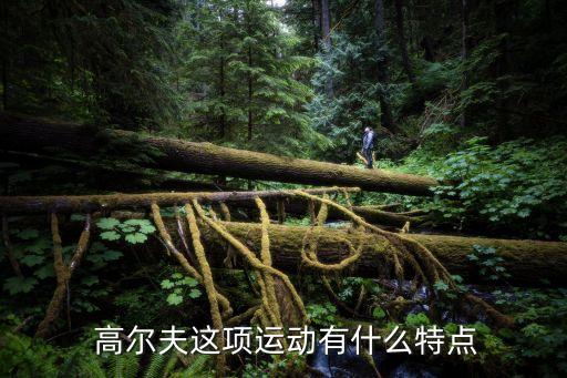 國(guó)外足球高爾夫,足球和高爾夫哪個(gè)花錢(qián)高