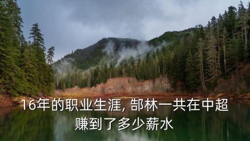 16年的職業(yè)生涯, 郜林一共在中超賺到了多少薪水