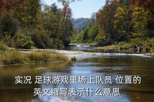  實(shí)況 足球游戲里場(chǎng)上隊(duì)員 位置的英文縮寫(xiě)表示什么意思