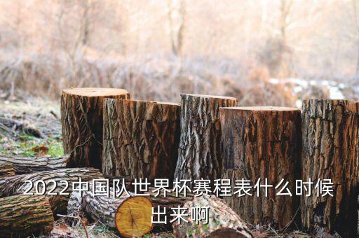 2022中國隊世界杯賽程表什么時候出來啊