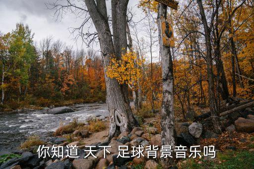 你知道 天下 足球背景音樂嗎