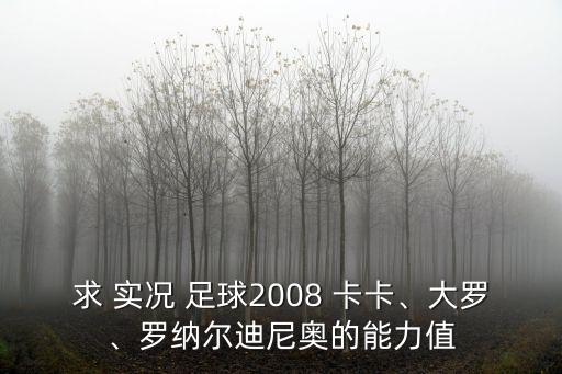 求 實況 足球2008 卡卡、大羅、羅納爾迪尼奧的能力值