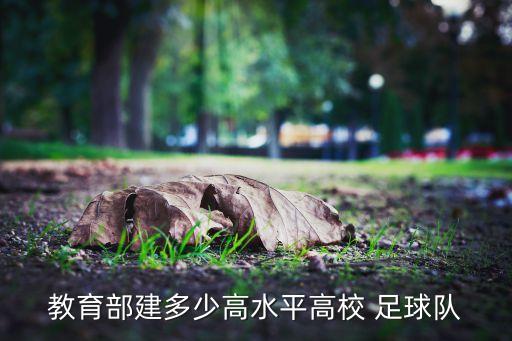 教育部建多少高水平高校 足球隊(duì)