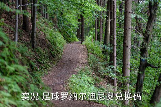  實況 足球羅納爾迪尼奧兌換碼