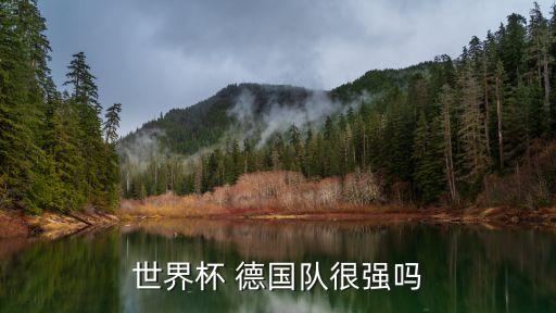 德國(guó)足球很厲害,德國(guó)和日本足球