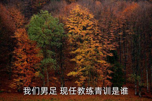 我們男足 現(xiàn)任教練青訓是誰