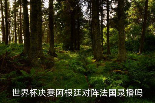 世界杯決賽阿根廷對(duì)陣法國(guó)錄播嗎