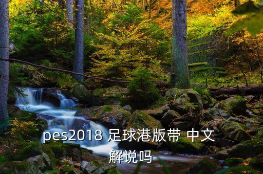 pes2018 足球港版帶 中文 解說嗎