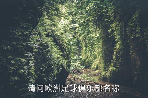 請(qǐng)問(wèn)歐洲足球俱樂(lè)部名稱