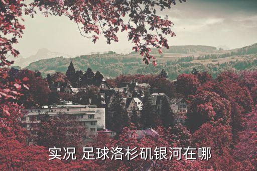  實(shí)況 足球洛杉磯銀河在哪