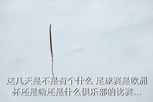 2016天津足球賽,天津足球賽門(mén)票在哪里買(mǎi)啊