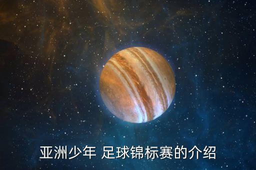 亞洲少年 足球錦標賽的介紹