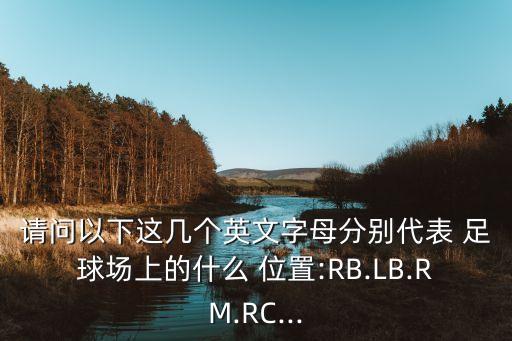 請問以下這幾個英文字母分別代表 足球場上的什么 位置:RB.LB.RM.RC...