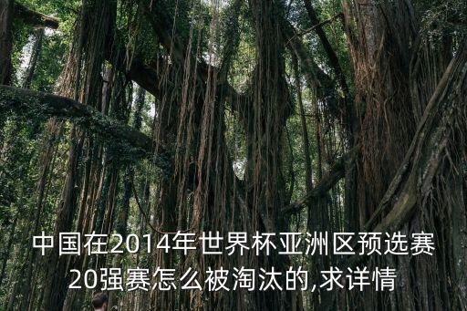 中國在2014年世界杯亞洲區(qū)預(yù)選賽20強(qiáng)賽怎么被淘汰的,求詳情