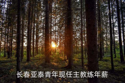 長(zhǎng)春亞泰青年現(xiàn)任主教練年薪