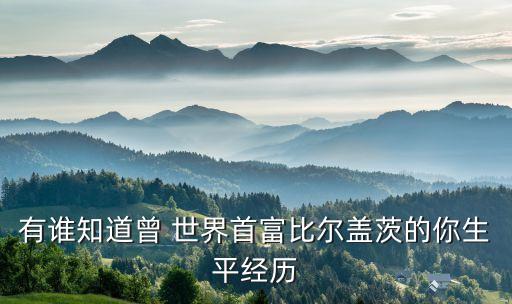 有誰(shuí)知道曾 世界首富比爾蓋茨的你生平經(jīng)歷