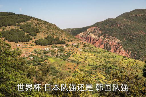 韓國與日本誰足球厲害,韓國日本足球?yàn)槭裁幢戎袊鴱?qiáng)
