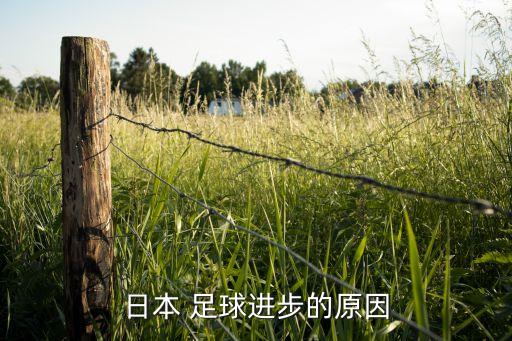 日本 足球進步的原因
