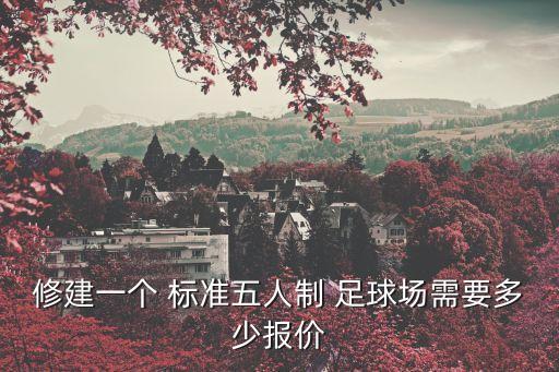 修建一個 標(biāo)準(zhǔn)五人制 足球場需要多少報(bào)價(jià)