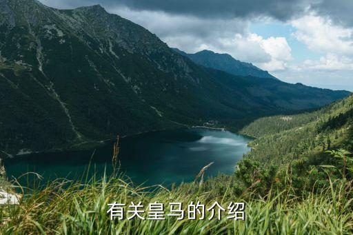 有關(guān)皇馬的介紹