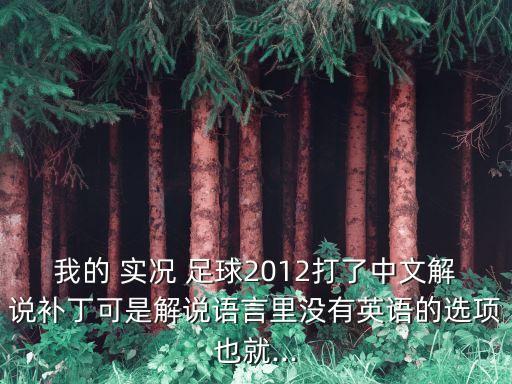 我的 實(shí)況 足球2012打了中文解說(shuō)補(bǔ)丁可是解說(shuō)語(yǔ)言里沒(méi)有英語(yǔ)的選項(xiàng)也就...