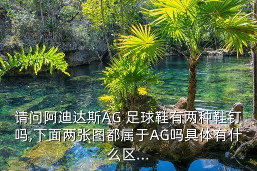 請問阿迪達(dá)斯AG 足球鞋有兩種鞋釘嗎,下面兩張圖都屬于AG嗎具體有什么區(qū)...