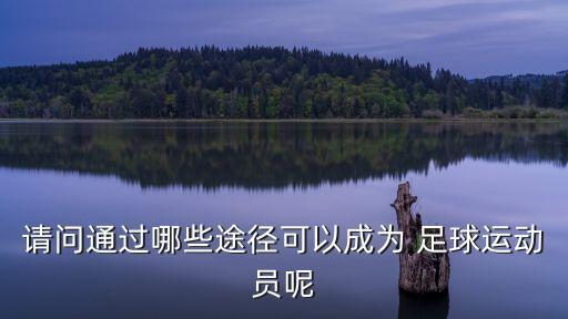 請(qǐng)問(wèn)通過(guò)哪些途徑可以成為 足球運(yùn)動(dòng)員呢