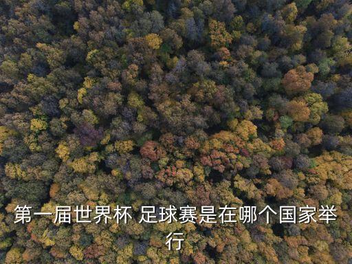 第一屆世界杯 足球賽是在哪個國家舉行