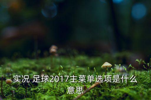 實況 足球2017主菜單選項是什么意思