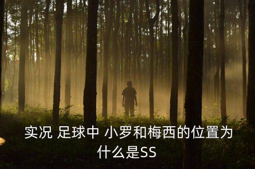  實況 足球中 小羅和梅西的位置為什么是SS