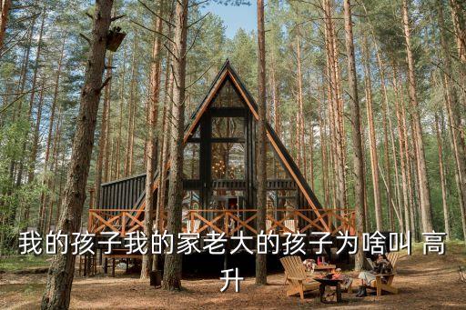 高升足球離婚,足球運(yùn)動(dòng)員高升簡(jiǎn)歷