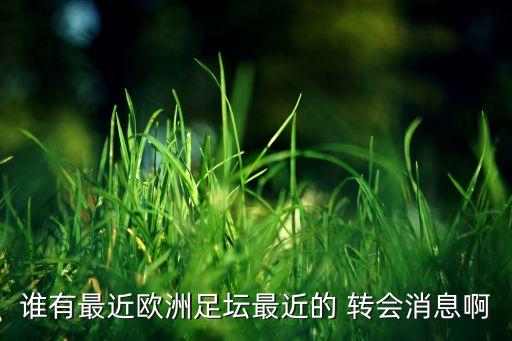 誰(shuí)有最近歐洲足壇最近的 轉(zhuǎn)會(huì)消息啊