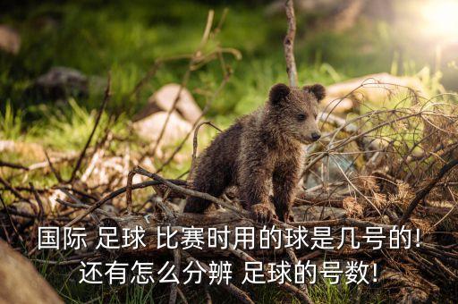 澳洲足球比賽大球判斷,如何判斷一場(chǎng)足球比賽的大小球