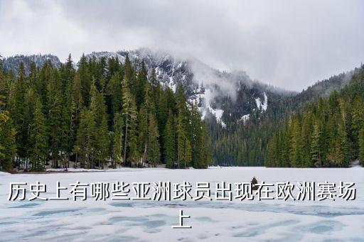 歷史上有哪些亞洲球員出現(xiàn)在歐洲賽場上