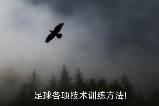  足球各項技術(shù)訓(xùn)練方法!