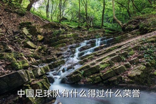  中國(guó)足球隊(duì)有什么得過(guò)什么榮譽(yù)