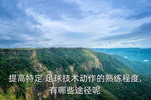 提高特定 足球技術(shù)動作的熟練程度,有哪些途徑呢