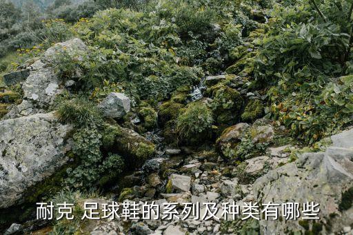  耐克 足球鞋的系列及種類有哪些