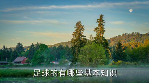 足球菜鳥(niǎo)了解足球,不懂足球怎么了解足球