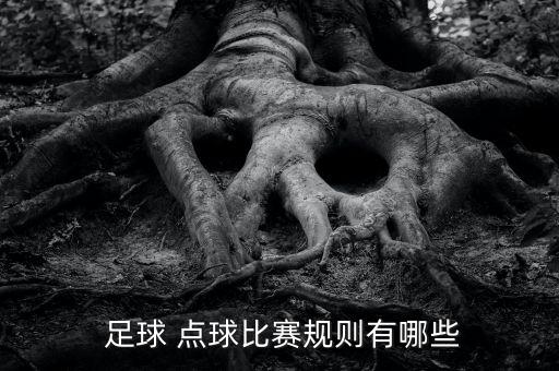  足球 點(diǎn)球比賽規(guī)則有哪些