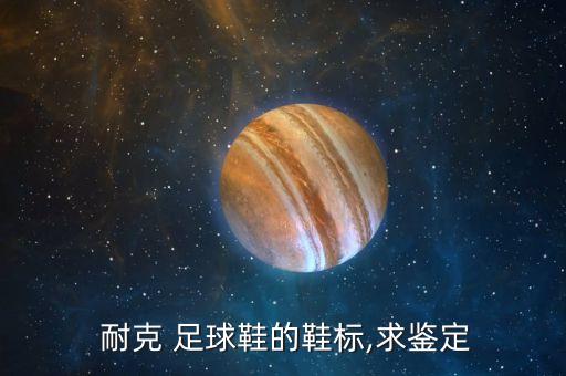  耐克 足球鞋的鞋標(biāo),求鑒定