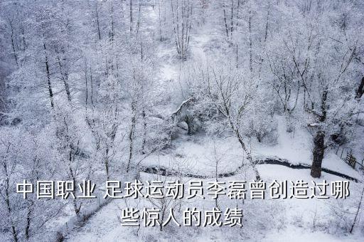 中國(guó)職業(yè) 足球運(yùn)動(dòng)員李磊曾創(chuàng)造過哪些驚人的成績(jī)