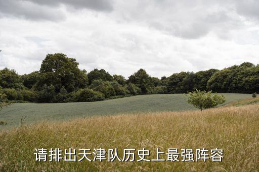 請(qǐng)排出天津隊(duì)歷史上最強(qiáng)陣容