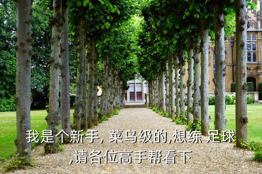 我是個(gè)新手, 菜鳥級(jí)的,想練 足球,請(qǐng)各位高手幫看下